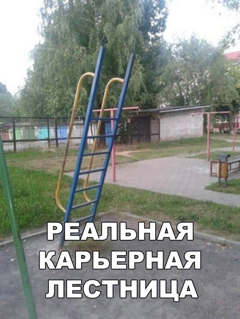 шш И З РЕАЛЬНАЯ КАРЬЕРНАЯ ЛЕСТНИЦА