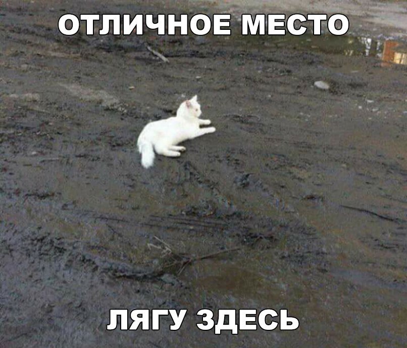 отличноЁ место ЛЯГУ ЗДЕСЬ
