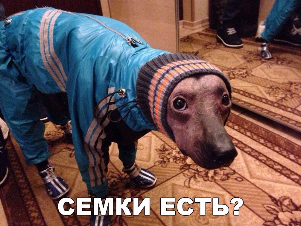 д _ СЕМКИ _