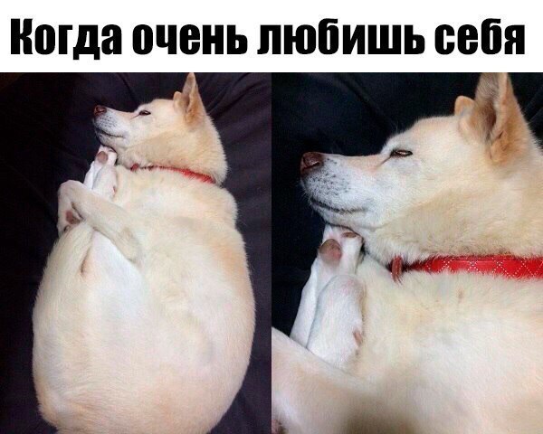 Ногда очень ЛЮБИШЬ себя П