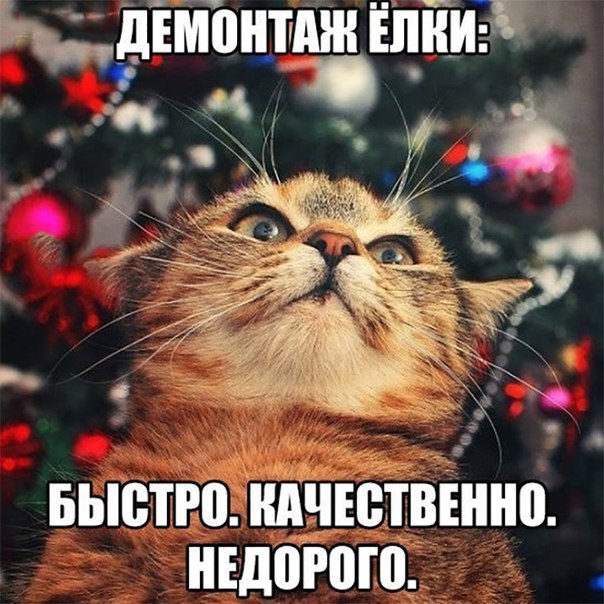 БЬ01Р0НДЧЕВТВЁНЮ НЕДШШП