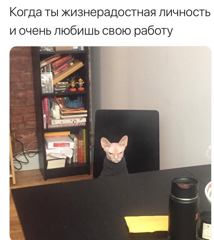 Когда ты жизнерадостная личность и очень любишь свою работу