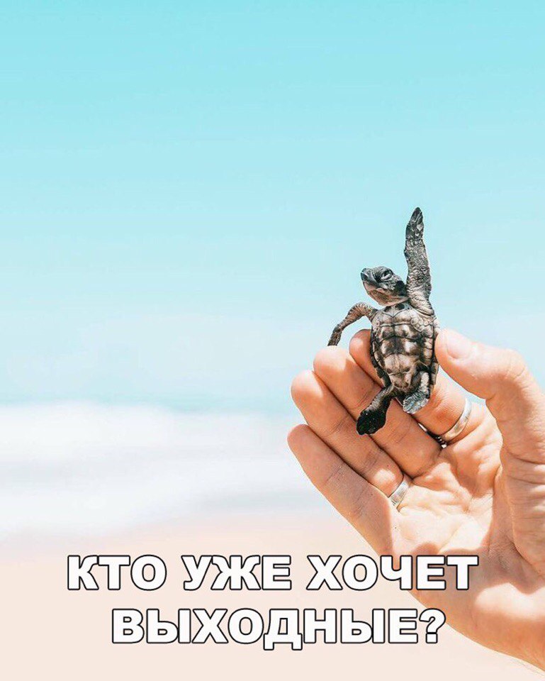 Ж ЕТ ЬПЖПЁЬПЁ