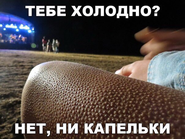 ТЕБЕ ХОЛОДНО НЕТ НИ КАПЕЛЬКИ
