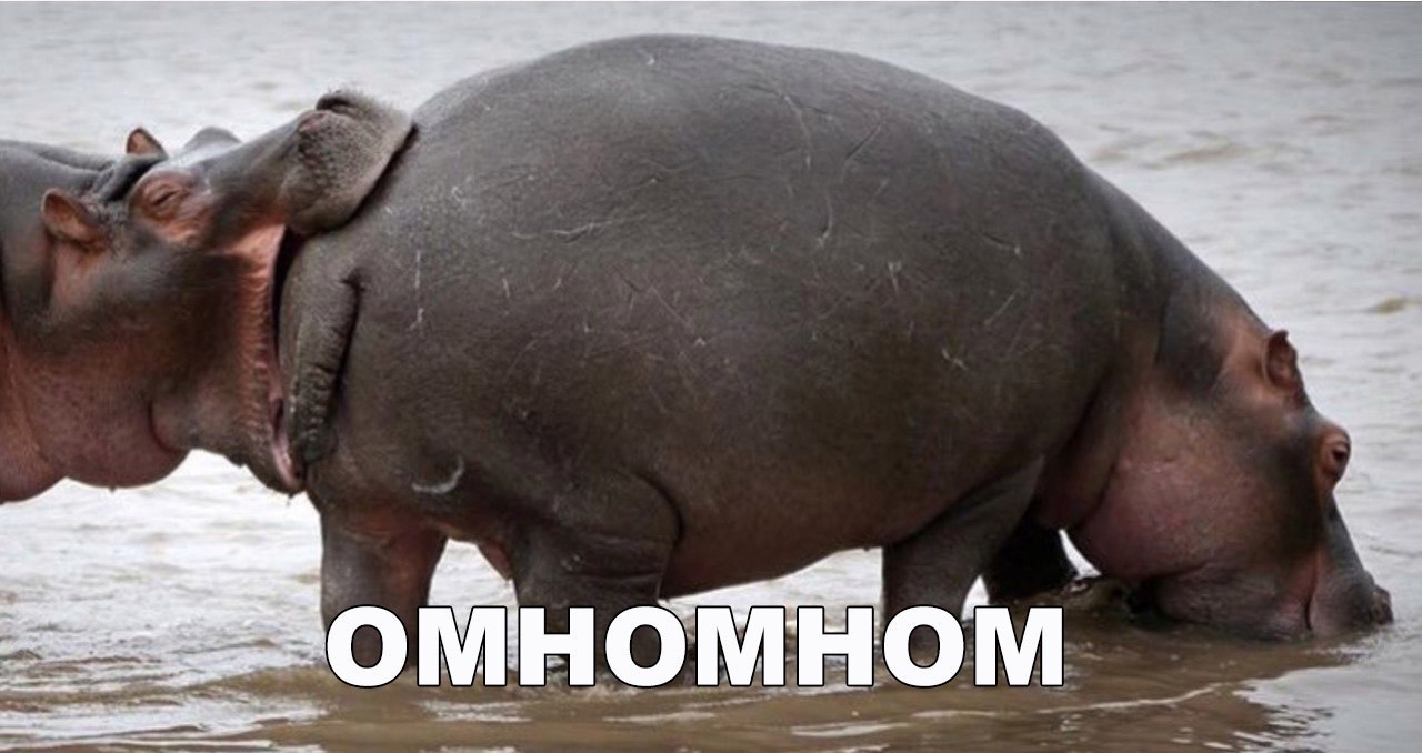 Н а __ЁФ Шаномыо м _ _ ___4 _ _ _ __ 7