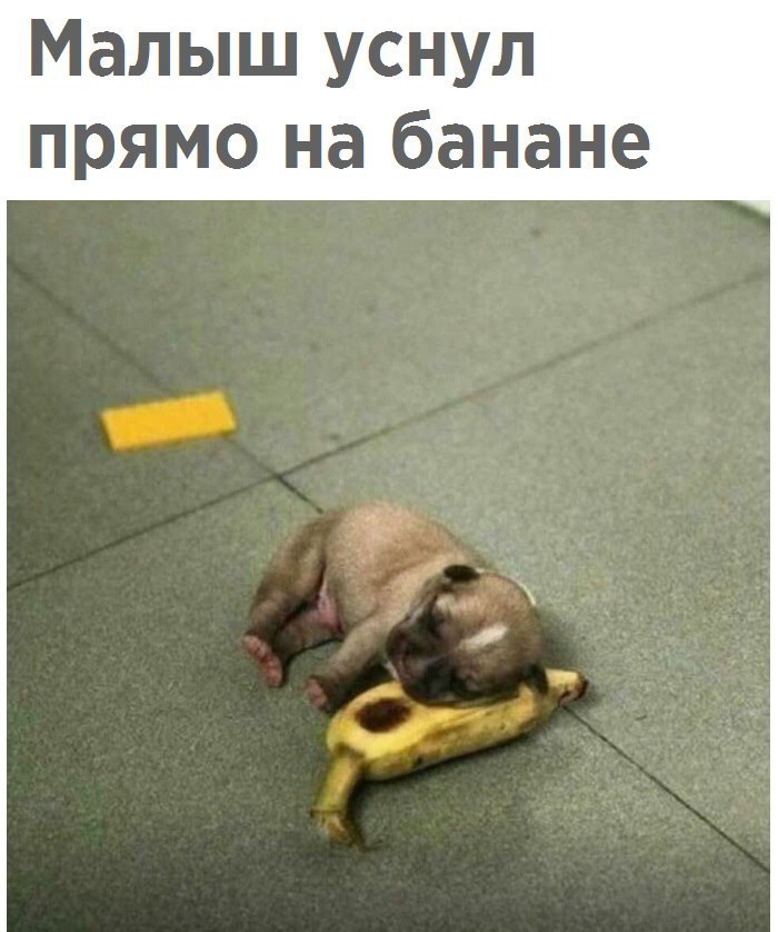 Малыш уснул прямо на банане