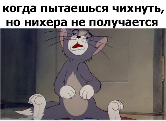 когда ПЫТЗЕШЬСЯ ЧИХНУТЬ