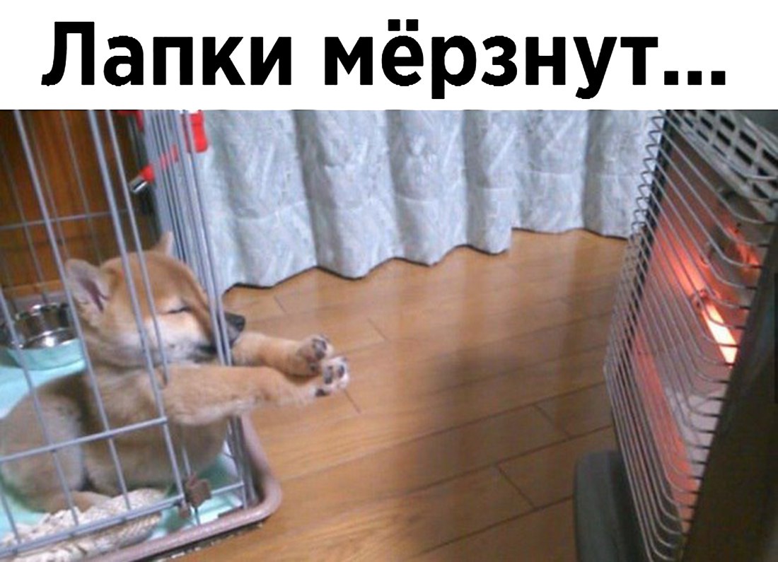 Лапки мерз _ ут о