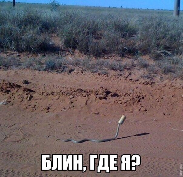 1 БЛИН ГДЕ Я