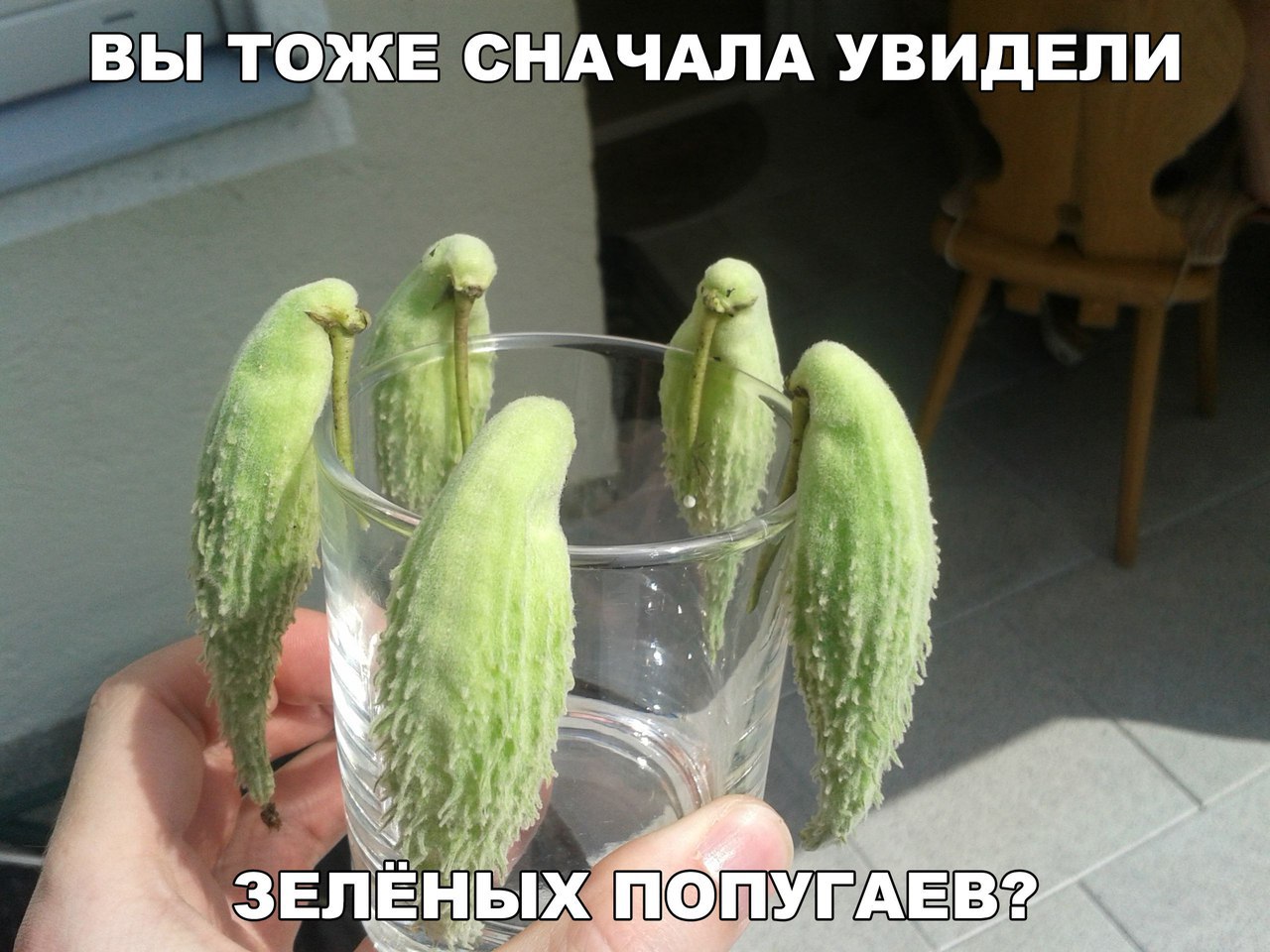 в ВЫ ТЗЖЕ СНАЧАЛА УВИДЕПИ