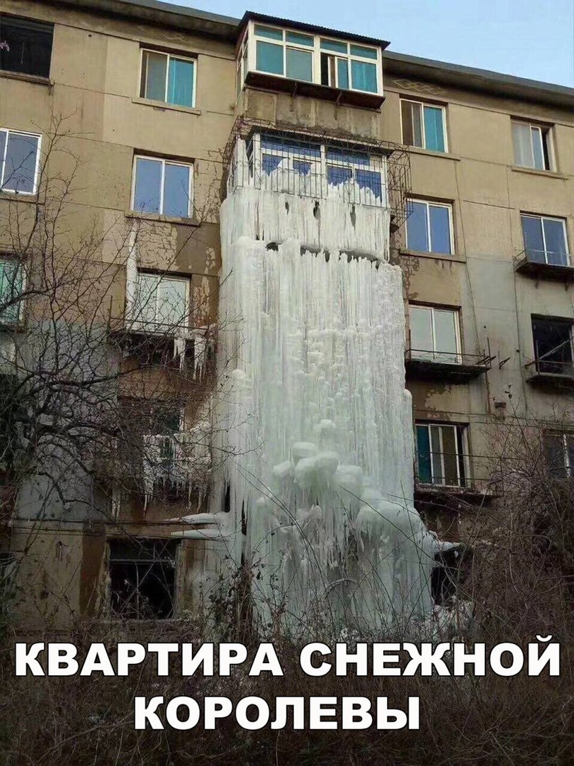 квдртиВд снЁ ной королввьп