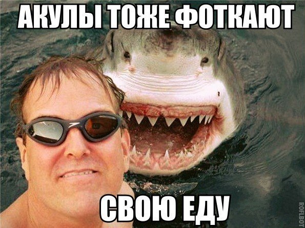 АНУПЁ ТВШЕЖФПТНАЮТ