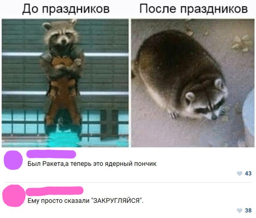 До праздников После праздников Был Ракетаа теперь это ядерный пончик Ему просто сказали ЗАКРУГЛЯЙСЯ