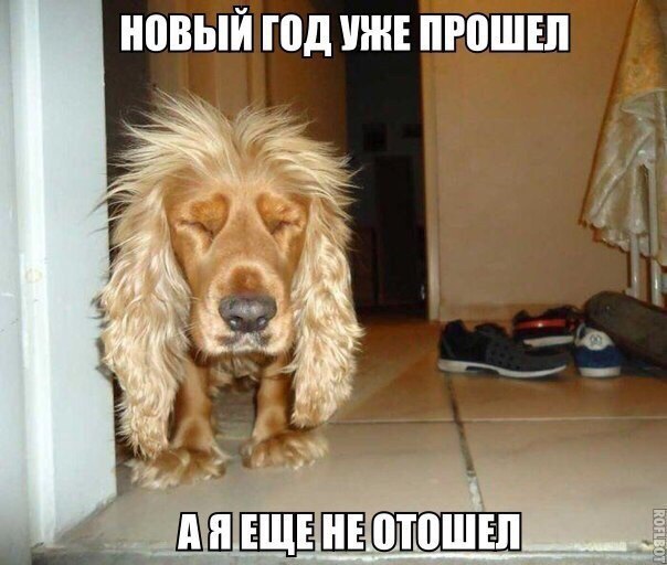 ШВЬЙ ПШ УЖЕ ПРПШЕЛ