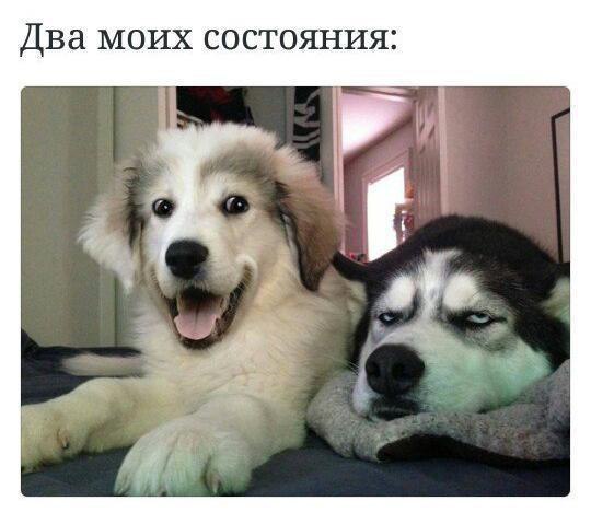 Два МОИХ СОСТОЯНИЯ