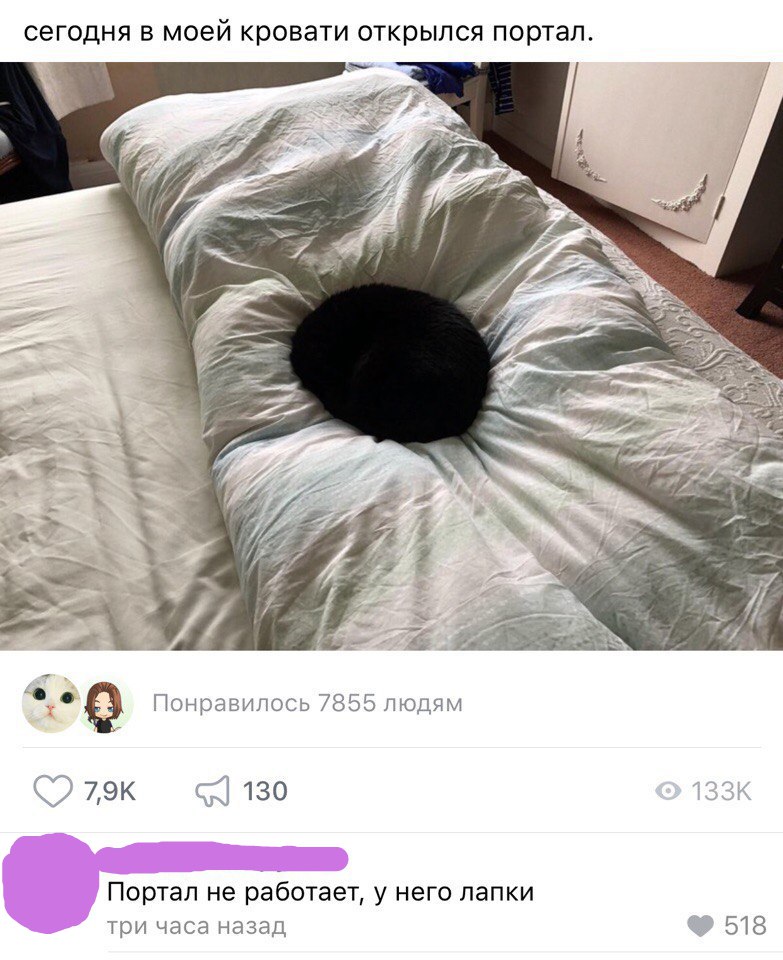 СЭГОДНЯ В моей КРОВЭТИ ОТКРЫЛСЯ портал Понравилось 7855 людям 79к с 130 Портал не работает у него лапки три часа назад ЧЗ 518