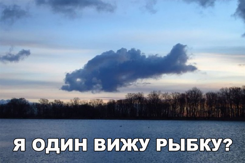 Я ОДИН ВИЖУ РЫБКУ