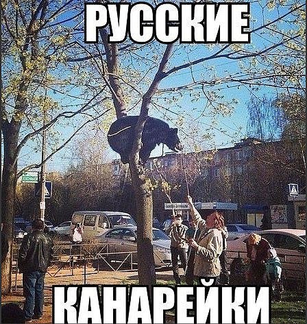 ПРЕМИИ нп А