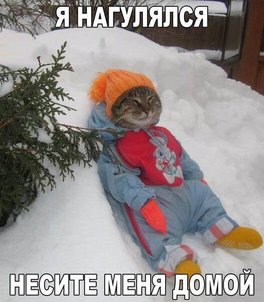 аня дмШ