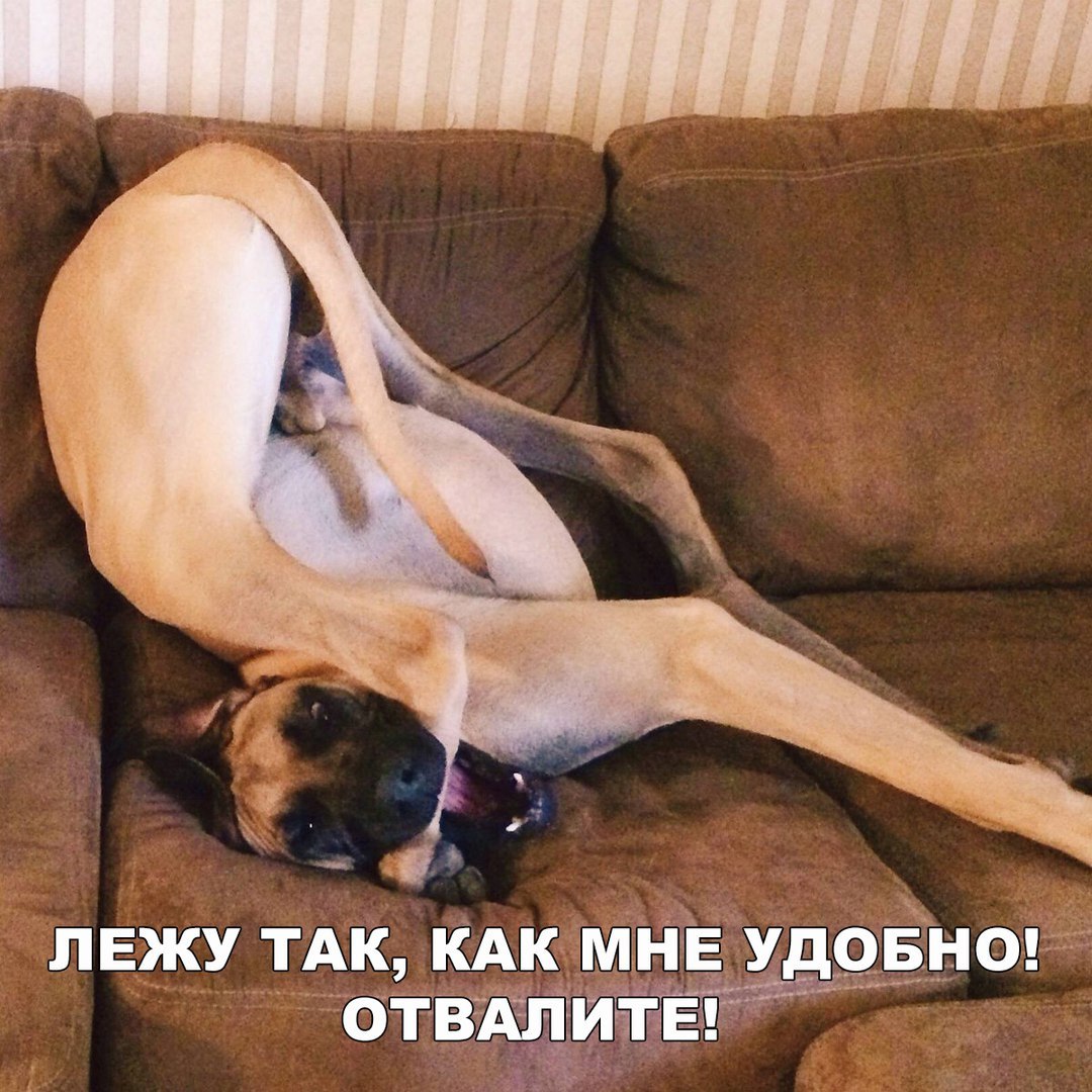 ЛЕЖУ ТАК КАК МНЕ _УдОБНО