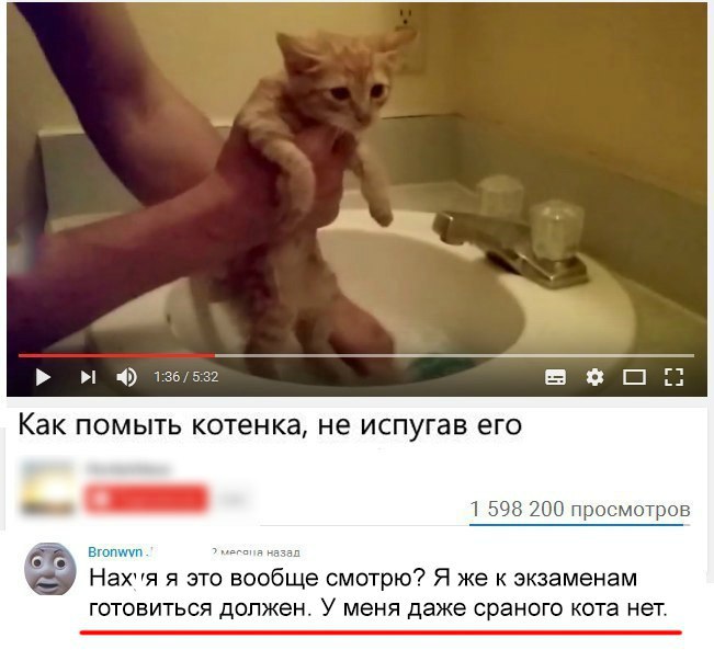 19 136531 5 Ф П Как ПОМЫТЬ котенка не испугав ЕГО ъ _ 1 зщ прощютров Нахия я это вообще смотрю Я же к экзаменам готовиться должен У меня даже сраного кота нет