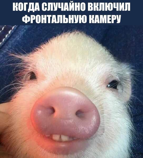 МДА ВПУЧАЙНЕ ШШЮШП _ _ ФРПНПШЬШЮ КАМЕР