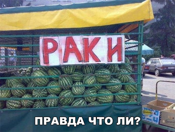 ПРАВДА что лигё _