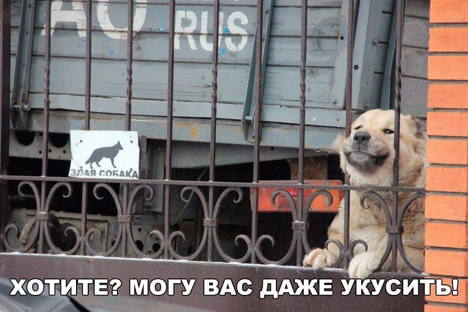 у ВАс дАжв УКУситы