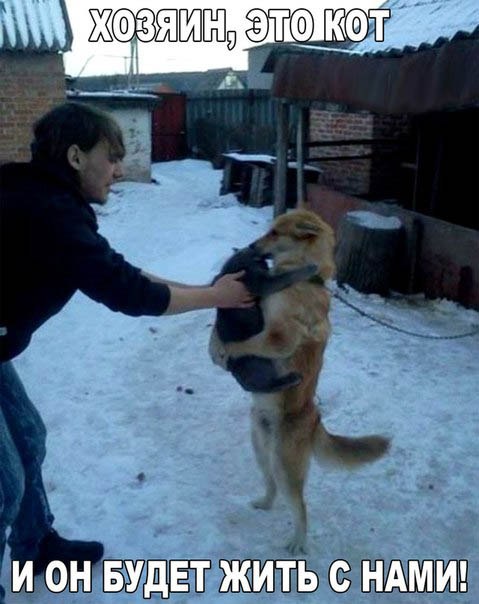 Ето о ЁЁ