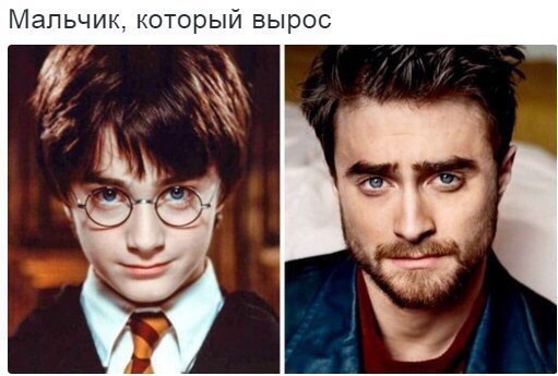 апьчик который вырос