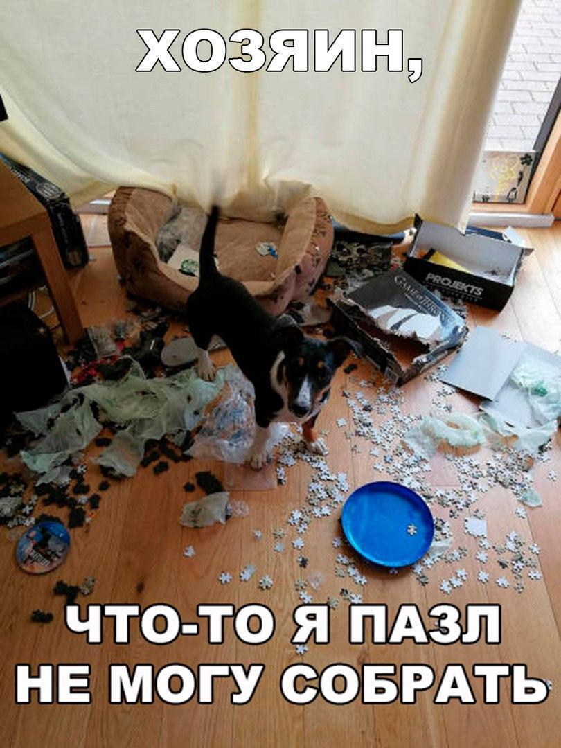 Е могу