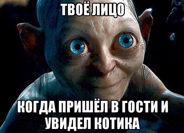 44 МДА ПРИШЁП В ПЮТИ И ВИДЕЛ НШИНА