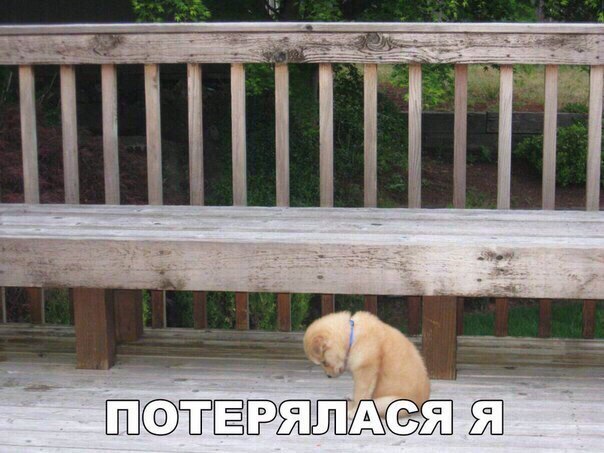 Шй