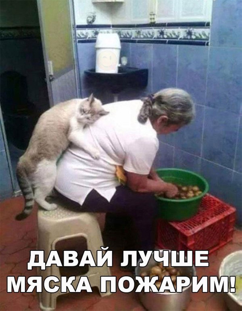 дАВАЙ лучше мясктіождвит _ Та