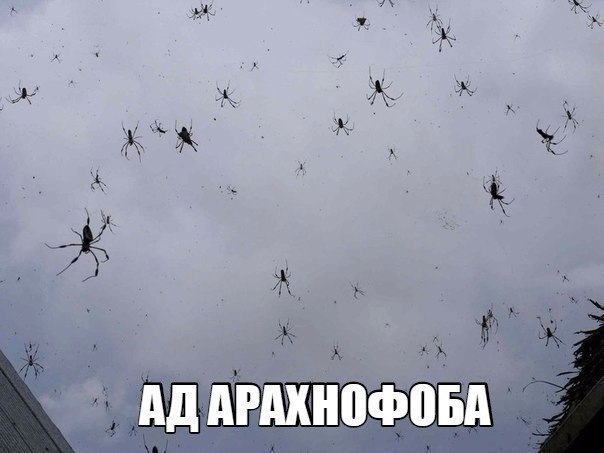 И