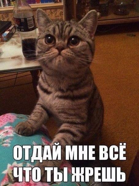 тдійМнв всі что щщжншь