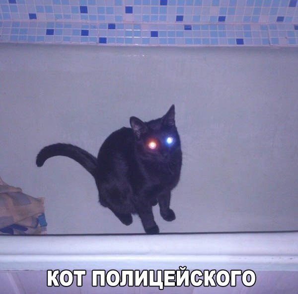 ПФЛИЦЕАЙСКФГФ