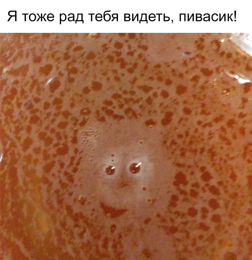 Я тоже рад тебя ВИДеТЬ пивасик