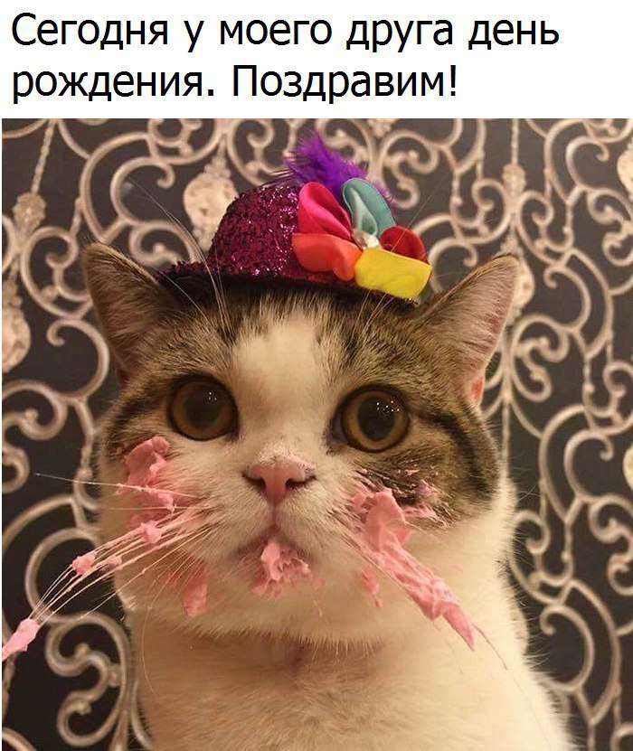 Сегодня у моего друга день