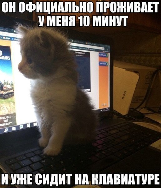 он ФИЦШШЬНВ ЮЖНЫЙ _ У МЕНЯ 10 МИШП И УЖЕ ВИДИТ Нд ШШВИАПРЕ