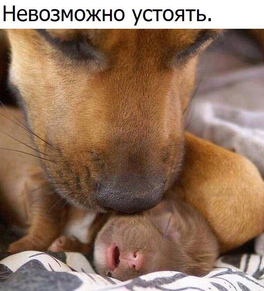Невозможно устоять