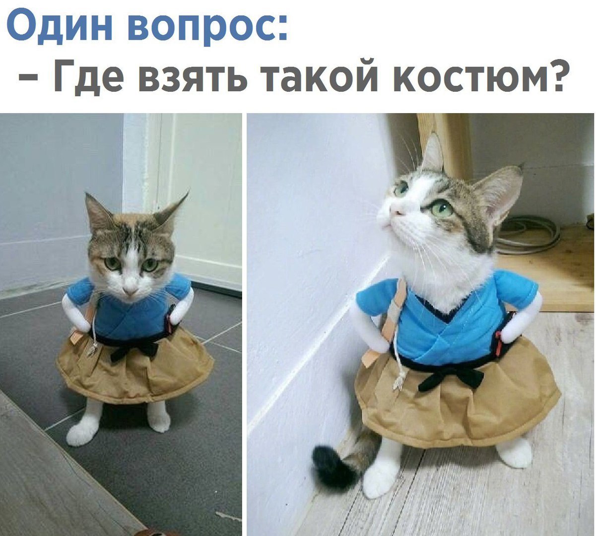 дп ЩЬ Где ВЗЯТЬ такой КОСТЮМ
