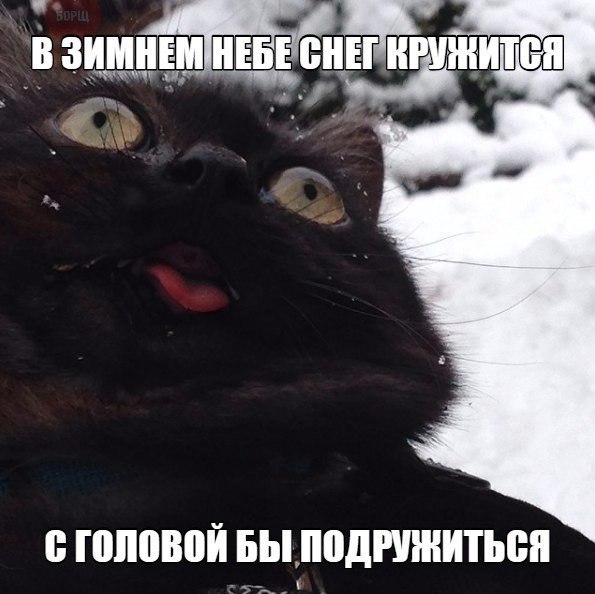 ППШВПЙ БЫЛШДПШИТЬБП