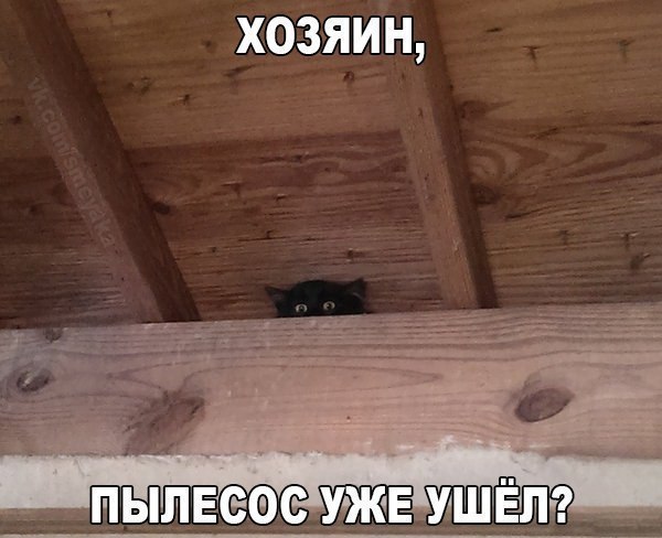 хозяин