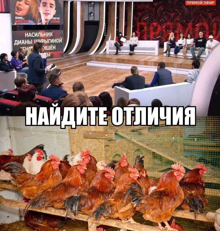 прямой ЭФИР ндсильник _ димы ишшгинои мшён