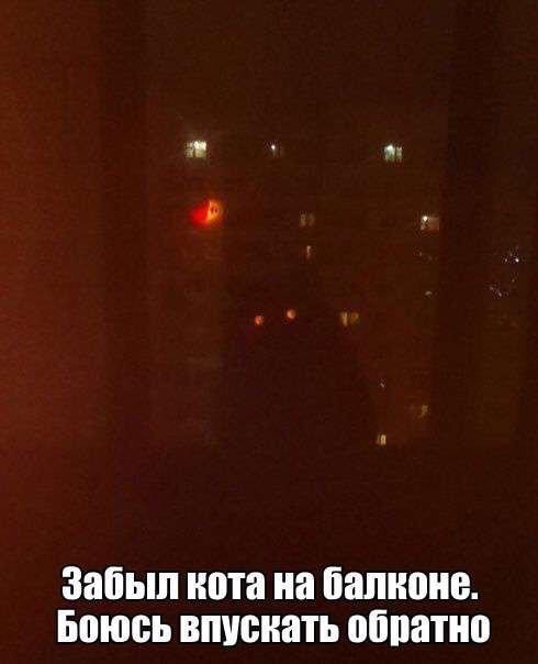 Забып нота на Балкона Боюсь впускать ШШ