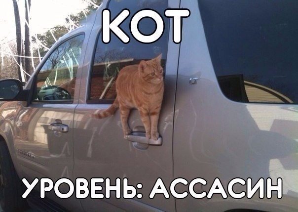УРОВЕНЬ АССАСИЪЁН