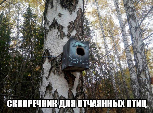 БНВВРЕЧНШЗМЧПИШПЬШ ПТИЦ
