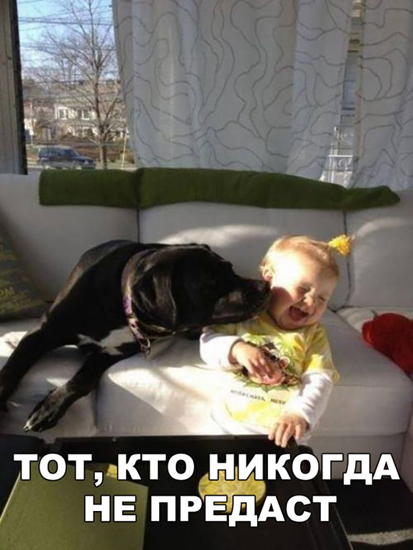 ИКО ГдА ТДАСТ