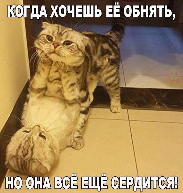 КФГДА ХОЧЕШЬ ЕЁ ОБНЯТЬ зд
